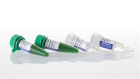 GoTaq® Master Mixes