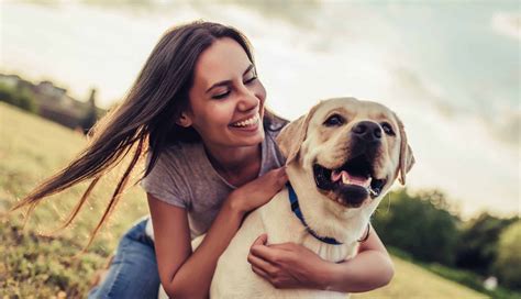 Rankin Animal Clinic | Fairhope, AL | Pre-Anesthetic Surgery ...