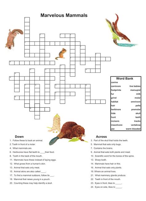 free printable dementia activities