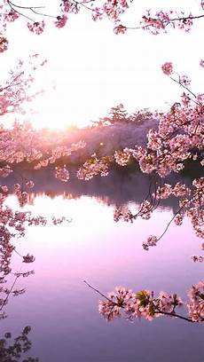 malvorlagen landschaften gratis whatsapp nature iphone wallpaper ideas nature wallpaper iphone malvorlagen landschaften gratis whatsapp nature iphone wallpaper ideas nature wallpaper iphone
