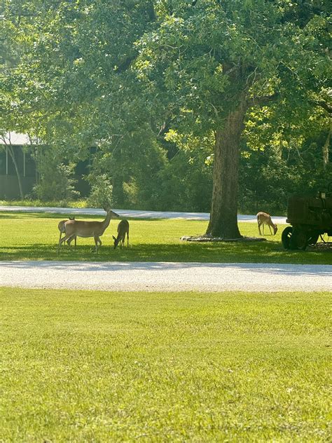 Two Creeks Crossing Resort Images That’ll Inspire Your Next Trip