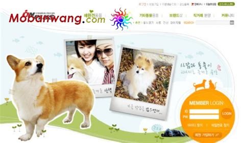 宠物网站模板，宠物网页模板免费下载 - 模板王