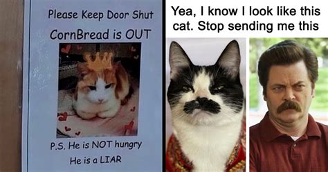 Image result for Writing Program Code On Paper Meme