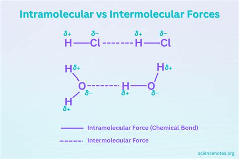 Image result for Intramolecular Forces Explained