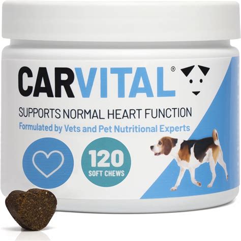 What Is A Dogs Normal Heart Rhythm