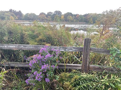 Casey Lake Park – Great Minnesota Outdoors