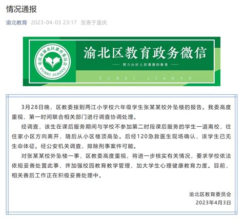 重庆渝北区通报一小学生校外坠楼：警方排除刑事案件可能_教育_调查_相关