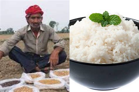 bihar farmer grows magic rice that boil in cold water goes viral pah