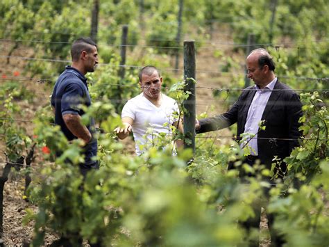 This Fine Wine Made At An Italian Penal Colony Is No 2-Buck Chuck : The ...