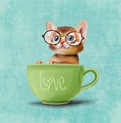 Image result for Teacup Hairless Cat