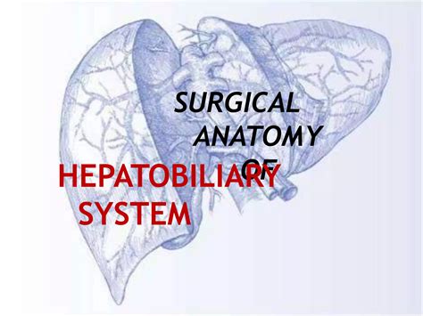 anatomy of hepatobiliary system.pptx