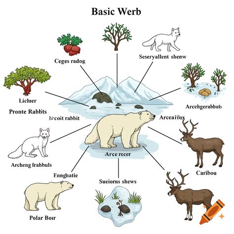 Tundra food web diagram featuring lichen, shrubs, arctic rabbits ...