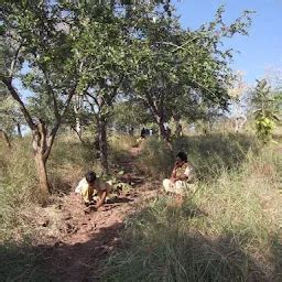 Places in Srisailam Project, Telangana | Yappe.in