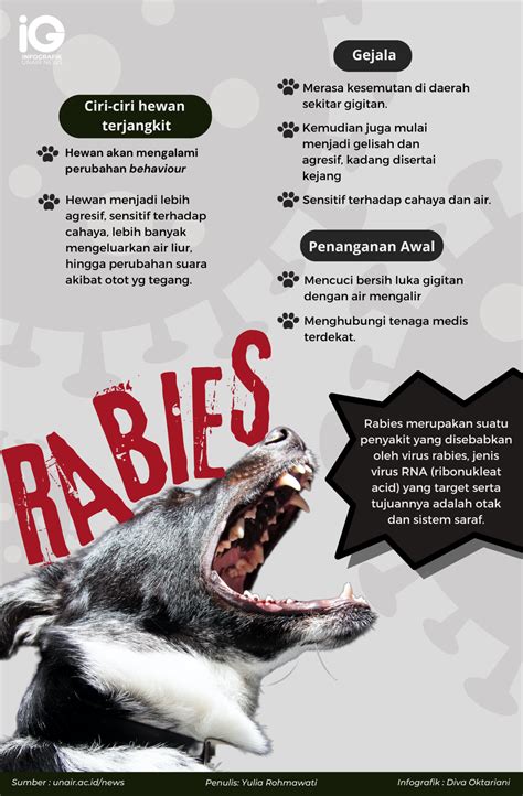 Infografik : Penyakit Rabies
