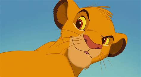 Lion King Characters Simba Dad