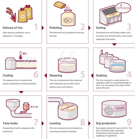 What is Koji? – Marukome