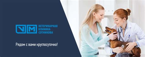 Ветеринарные клиники неврологии и ортопедии | Ветеринарные клиники ...