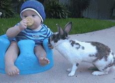 Image result for Cute Spring PFP Bunny
