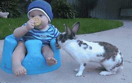 Image result for Small Cute Baby Bunny