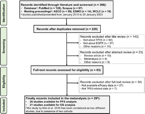 Image result for Meta-Analysis Graph