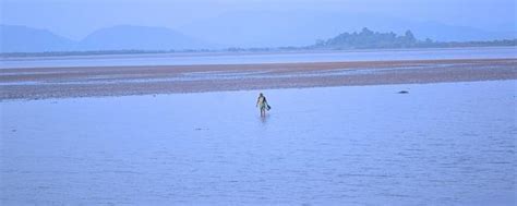 What flies can teach us about achieving the perfect landing, albeit ...
