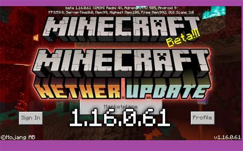 Download Minecraft Java Edition Free 1.16 的图像结果