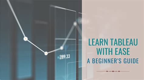 Tableau Beginner Tutorial 的图像结果