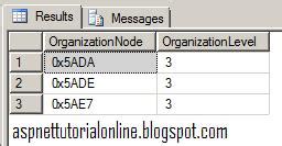 SQL Server Dynamic SQL 的图像结果