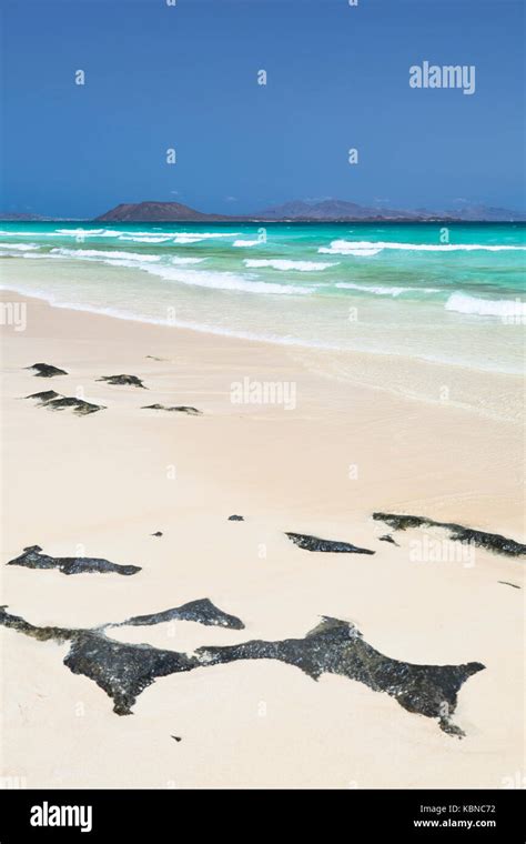 Beach and turquoise sea at Corralejo, Fuerteventura. The islands in the ...