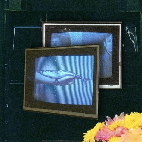 Image result for Loop Blue