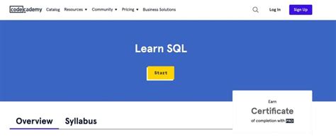 SQL Commands Learn Coding 的图像结果