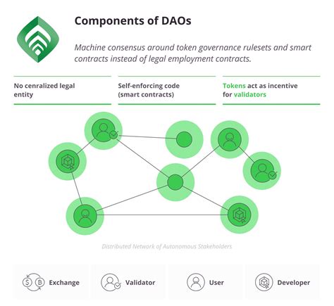What is the DAO organization in the Oasis Chain ecosystem? - iNEWS