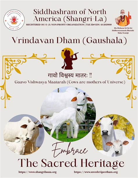 Vrindavan Dham (Gau Shala) | Shangrilausa