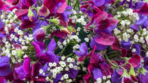 10 Easy Flowers To Grow For Beautiful Bouquets All Season (And Some You ...