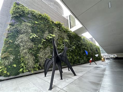 San Francisco Museum of Modern Art: Your ultimate guide