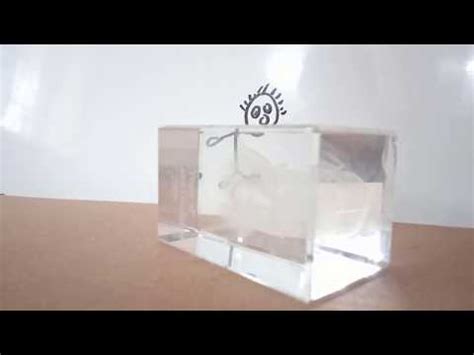 Image result for Rectangular Glass Slab Experiment