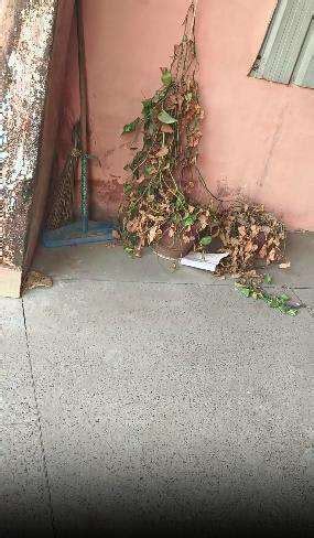 Mangolpuri, Delhi - Map, Pincode, Property Rates, Photos & Reviews 2026