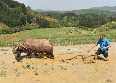 湖南嘉禾：谷雨时节耕种忙-人民图片网