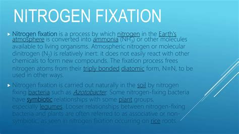 Image result for Nitrogen Fixation Process