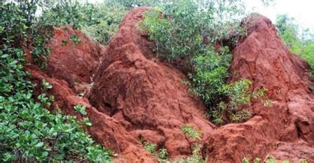 A look at India’s 7 natural heritage locations, picked up as UNESCO’s ...