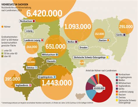 Hühner-Boom in Sachsen | agrarheute.com
