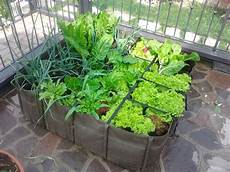 come fare l orto sul terrazzo orto sul terrazzo 187 come si fa come fare l orto sul terrazzo orto sul terrazzo 187 come si fa
