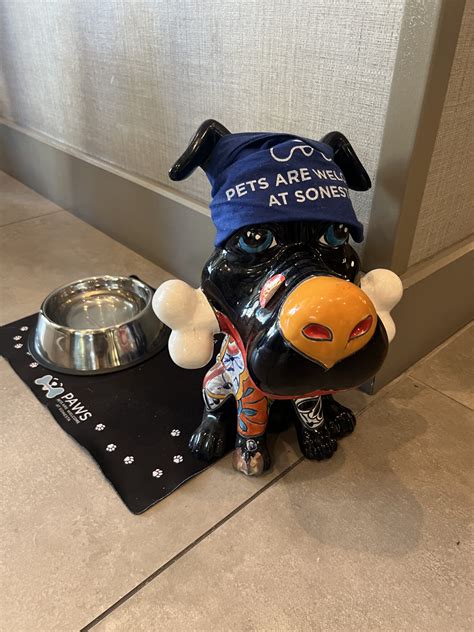 Sonesta Irvine - A Staycation Oasis - Family Review Guide