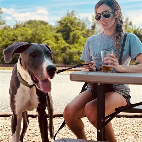 GOOSE AND THE MONKEY BREW HOUSE (Lexington): Ce qu'il faut savoir pour ...