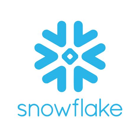 Snowflake Data Clear Logo 的图像结果