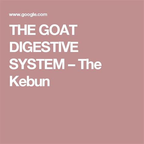 Image result for Goat Digestive System