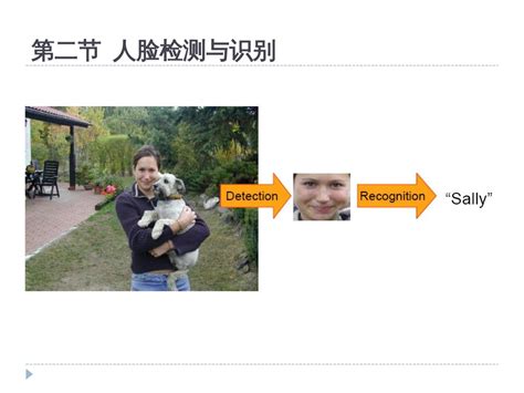 Detection 2021 的图像结果