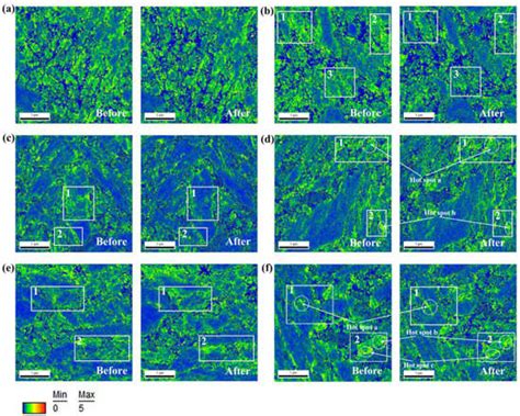 Effects of Pulsed Magnetic Fields of Different Intensities on ...