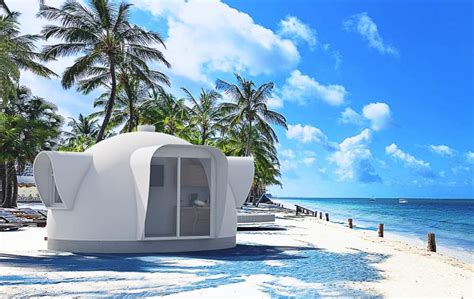 Backyard Studio 的图像结果