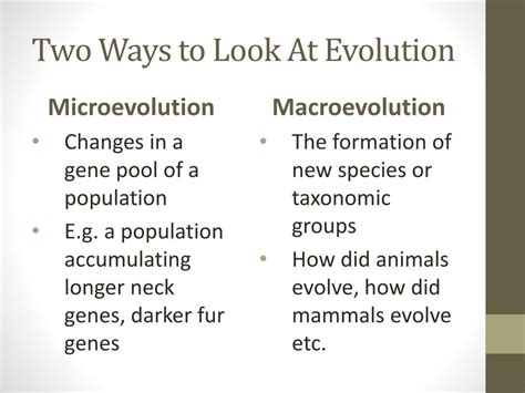 Image result for How Tmacroevolution